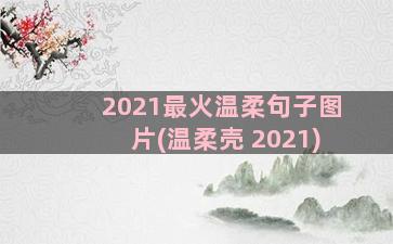 2021最火温柔句子图片(温柔壳 2021)